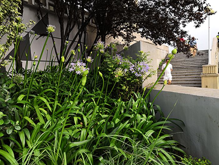 首页| 尊龙集团中国官方网站