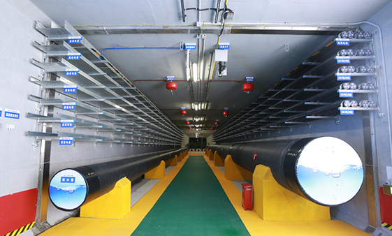 首页| 尊龙集团中国官方网站